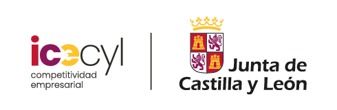Instituto para la Competitividad Empresarial de Castilla y León